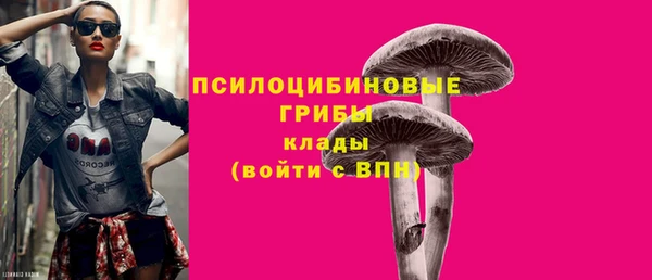 Альфа ПВП Белокуриха