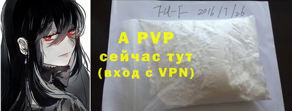 Альфа ПВП Белокуриха