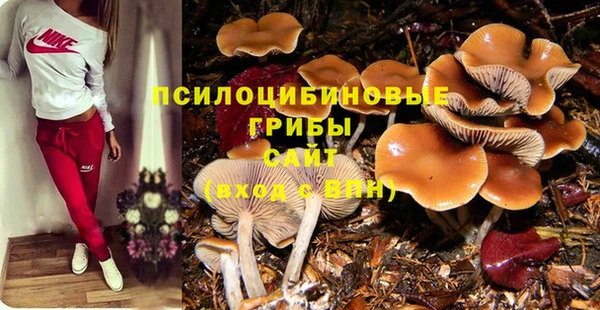 Альфа ПВП Белокуриха