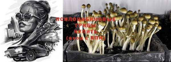 круглые Беломорск