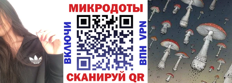 Галлюциногенные грибы Cubensis  Надым 