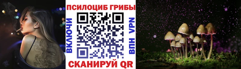 Галлюциногенные грибы прущие грибы Надым
